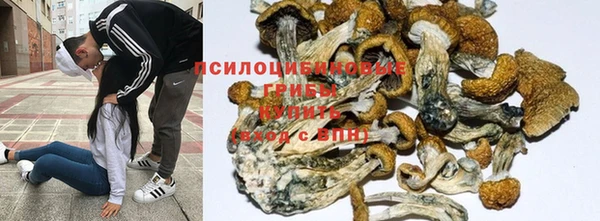 спайс Володарск