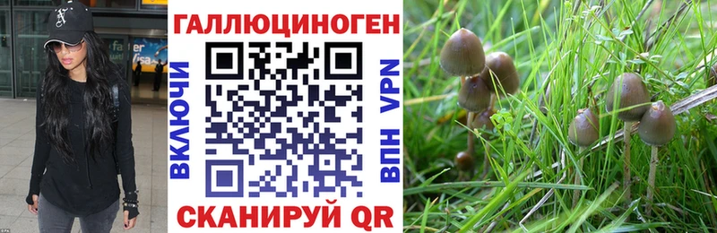 Купить закладки  Кашира  Галлюциногенные грибы мухоморы 